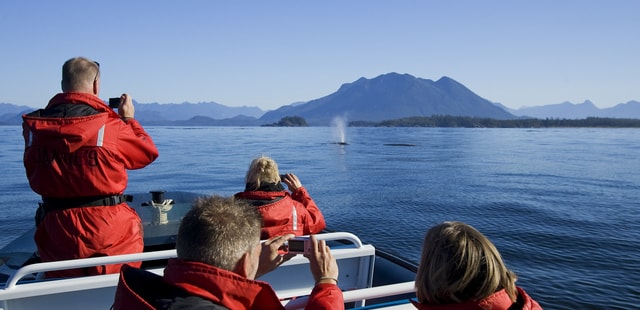 Whale watching off Vancouver Island